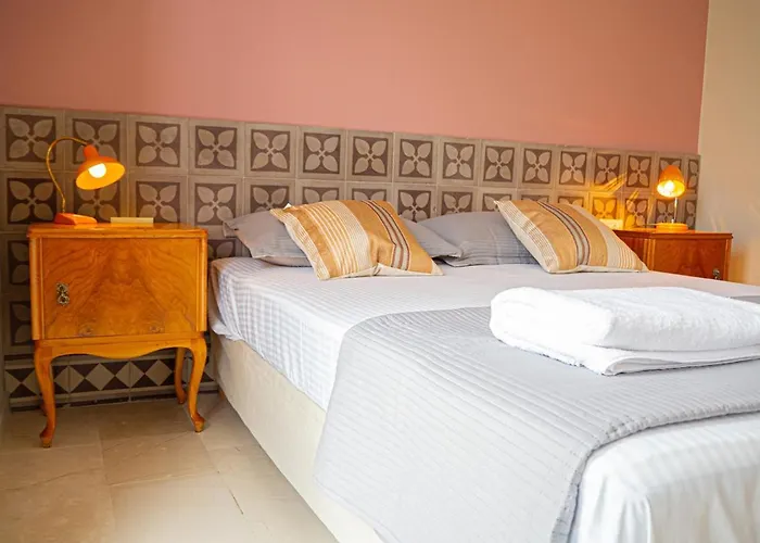Dionysia Premium *